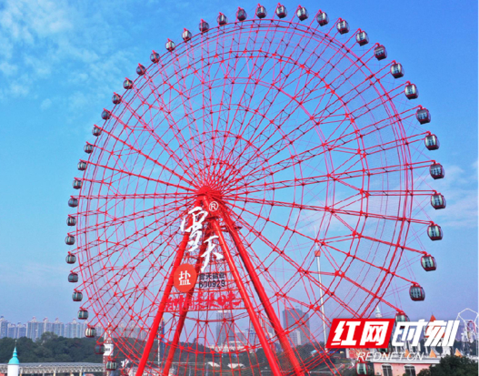 摩天轮白天.jpg