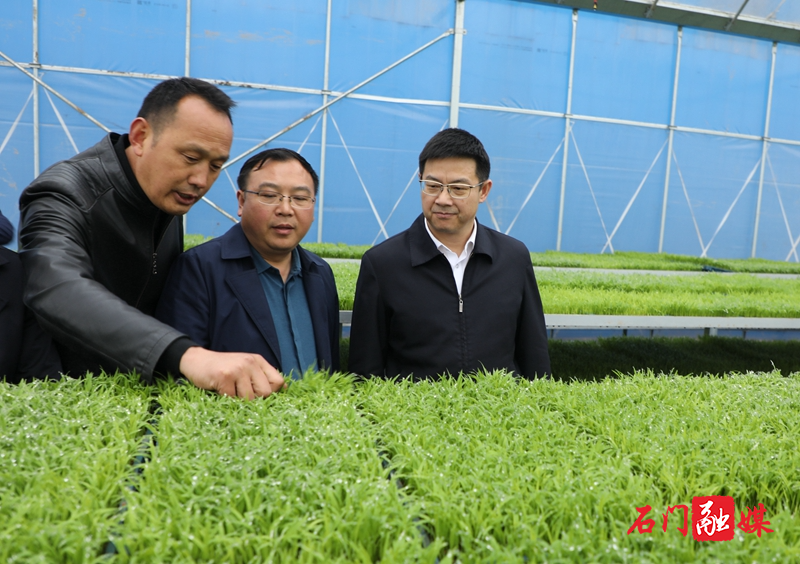 微信图片_20210402111837_副本.jpg 微信图片_20210402111837_副本.jpg