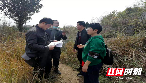 双清区依法拆除21座非法墓地_邵阳头条网