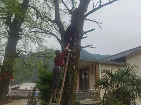 微信图片_20210402124634_爱奇艺_爱奇艺.jpg