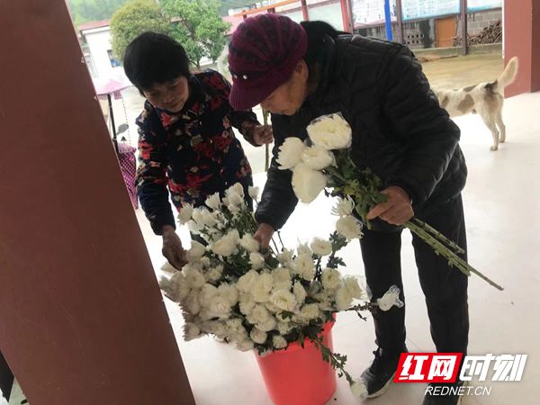 微信图片_20210402171049_副本.jpg 微信图片_20210402171049_副本.jpg