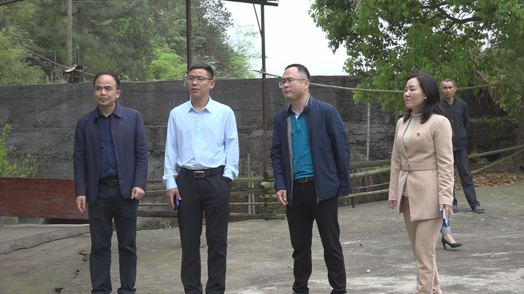 雷志平到承坪乡检查督导安全生产工作