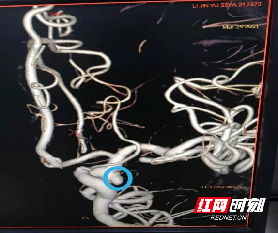 图片1.wm.png