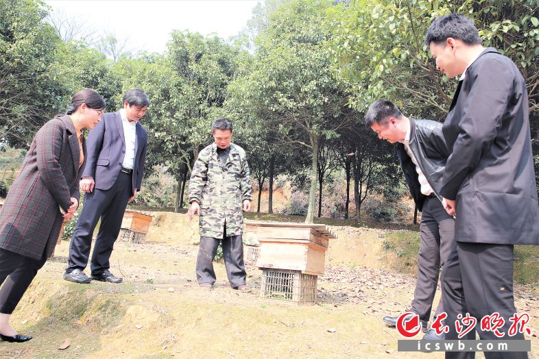 　　夏铎铺镇扎实推进“四联五到位”工作，党员干部联户走访来到脱贫户卢海军（左三）家中，现场查看他养殖蜜蜂的情况，并仔细询问他在生活上还有什么困难。张禹 摄