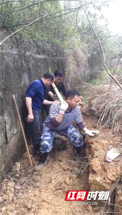 图片5.jpg 图片5.jpg