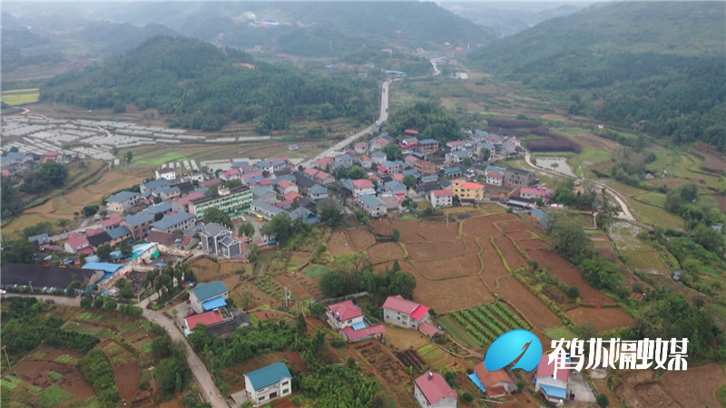 鹤城区：争当乡村振兴排头兵.mp4_20210407_171802.134_副本.jpg