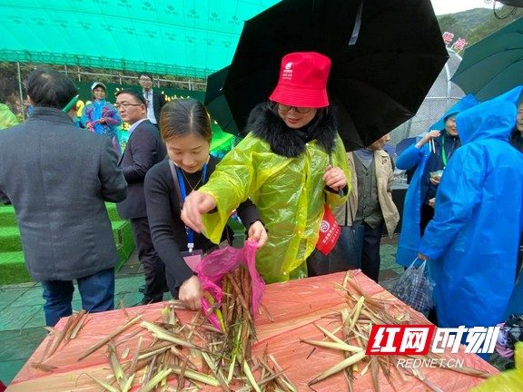 微信图片_20210407121756.marked.jpg