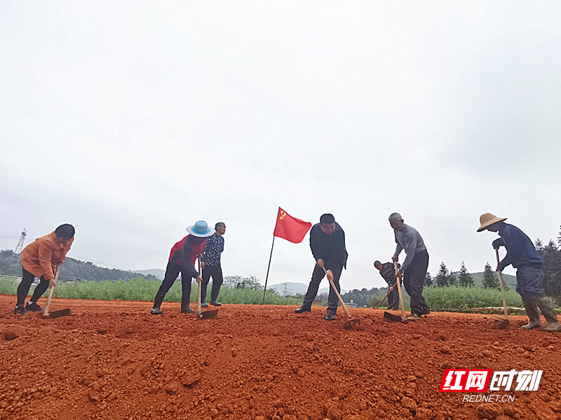 瓦僚村党员干部正在平整路基。_副本.jpg