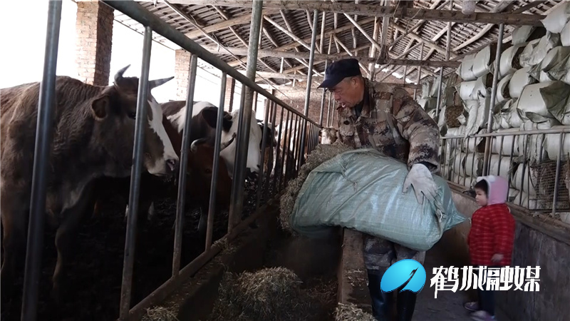鹤城区开展违禁使用“瘦肉精”专项整治活动.mp4_20210408_161819.692.jpg
