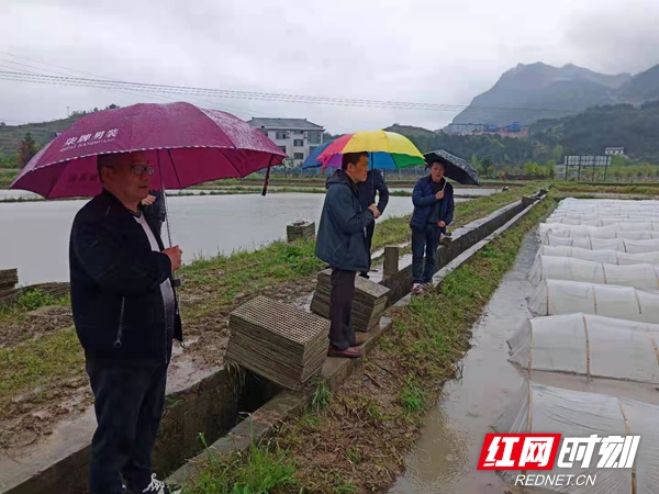农业强镇2.jpg