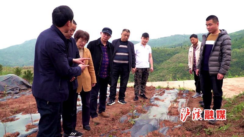 微信图片_20210412105211.jpg