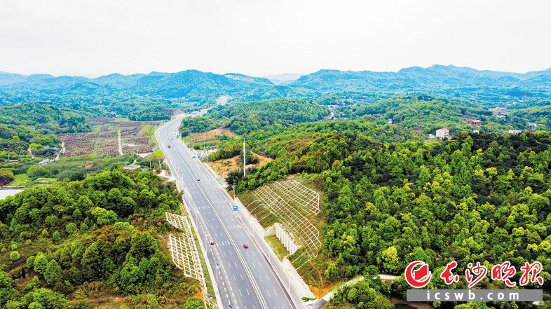 　　洞株路全程无红绿灯，是一条长沙、株洲两地之间高效快捷的免费通道。作为长株潭“三干两轨”项目之一，洞株城际快速路大大方便了两地之间的互通。                    长沙晚报全媒体记者 邹麟 摄