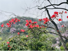 小唐策游潇湘：阳明山何止杜鹃红和万寿寺(1)380.png