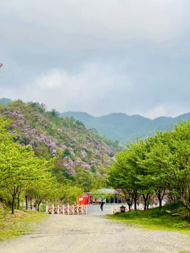 小唐策游潇湘：阳明山何止杜鹃红和万寿寺(1)350.png