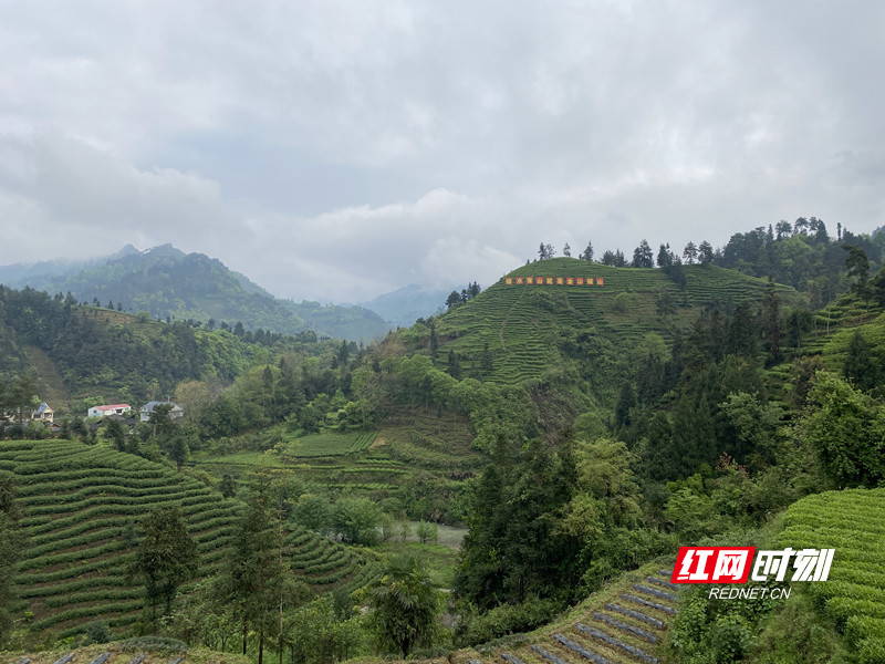 吉首市马颈坳镇隘口村图片