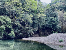 小唐策游潇湘：阳明山何止杜鹃红和万寿寺(1)1265.png