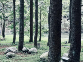 小唐策游潇湘：阳明山何止杜鹃红和万寿寺(1)1257.png