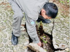 小唐策游潇湘：阳明山何止杜鹃红和万寿寺(1)1063.png