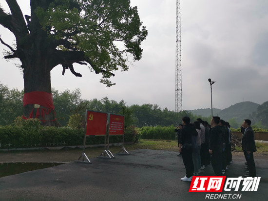 a005529a8bc6235d390f77f0518eb89_副本.jpg