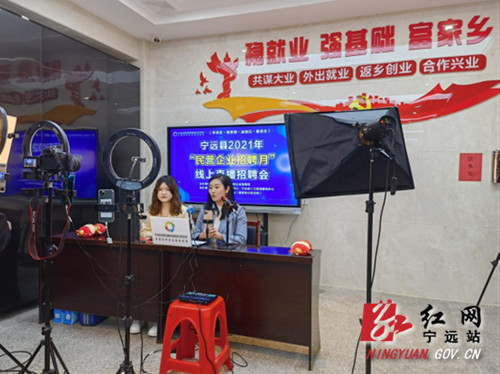 【稳就业 强基础 富家乡】宁远成功举办首场“民营企业招聘月”线上线下招聘会2_副本500.jpg