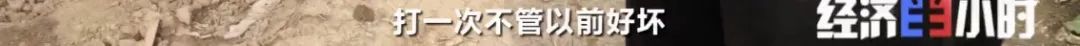河南省周口市鹿邑县任集乡村民