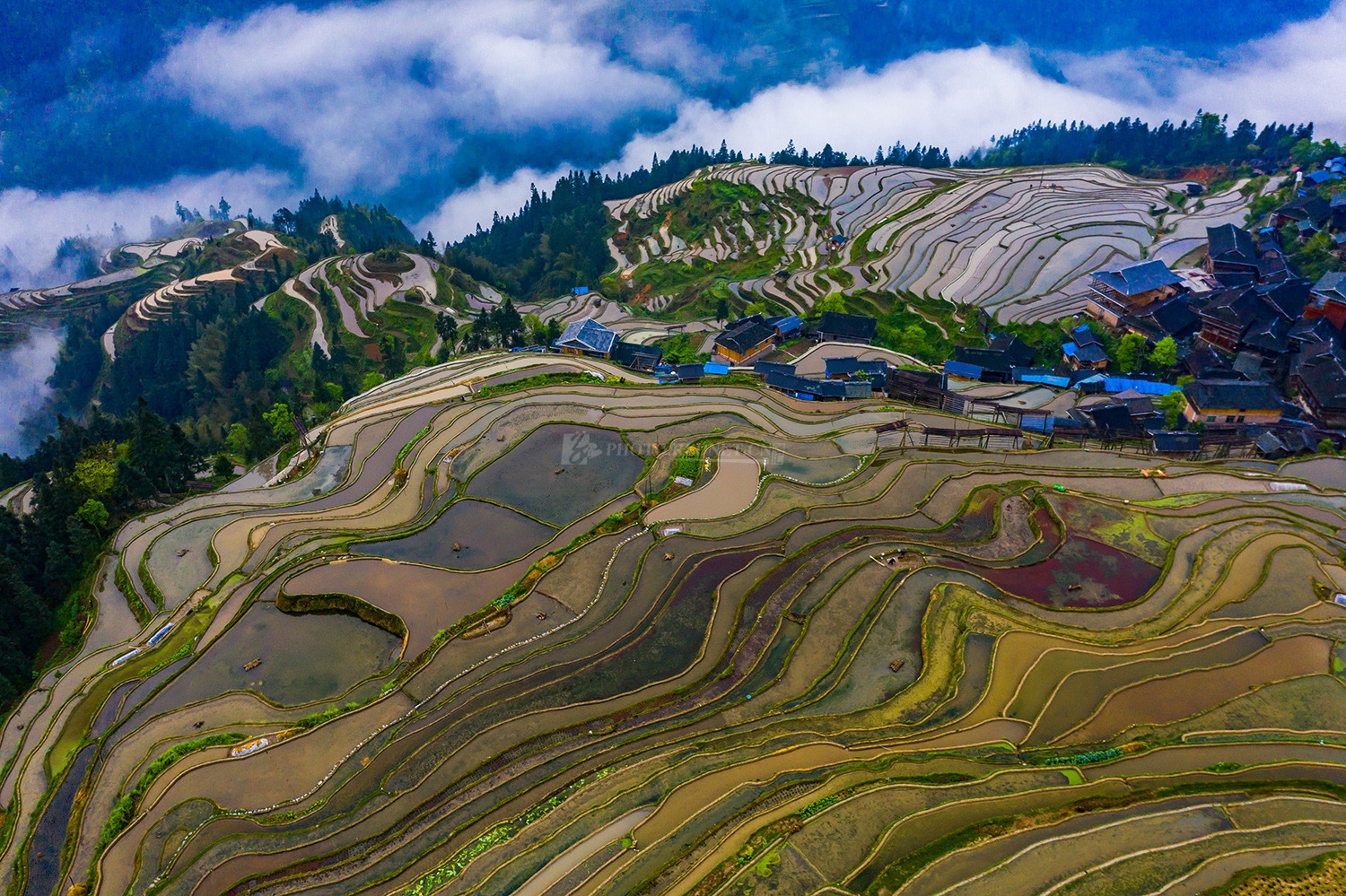 32186_15862435829Rzp.jpg 32186_15862435829Rzp.jpg