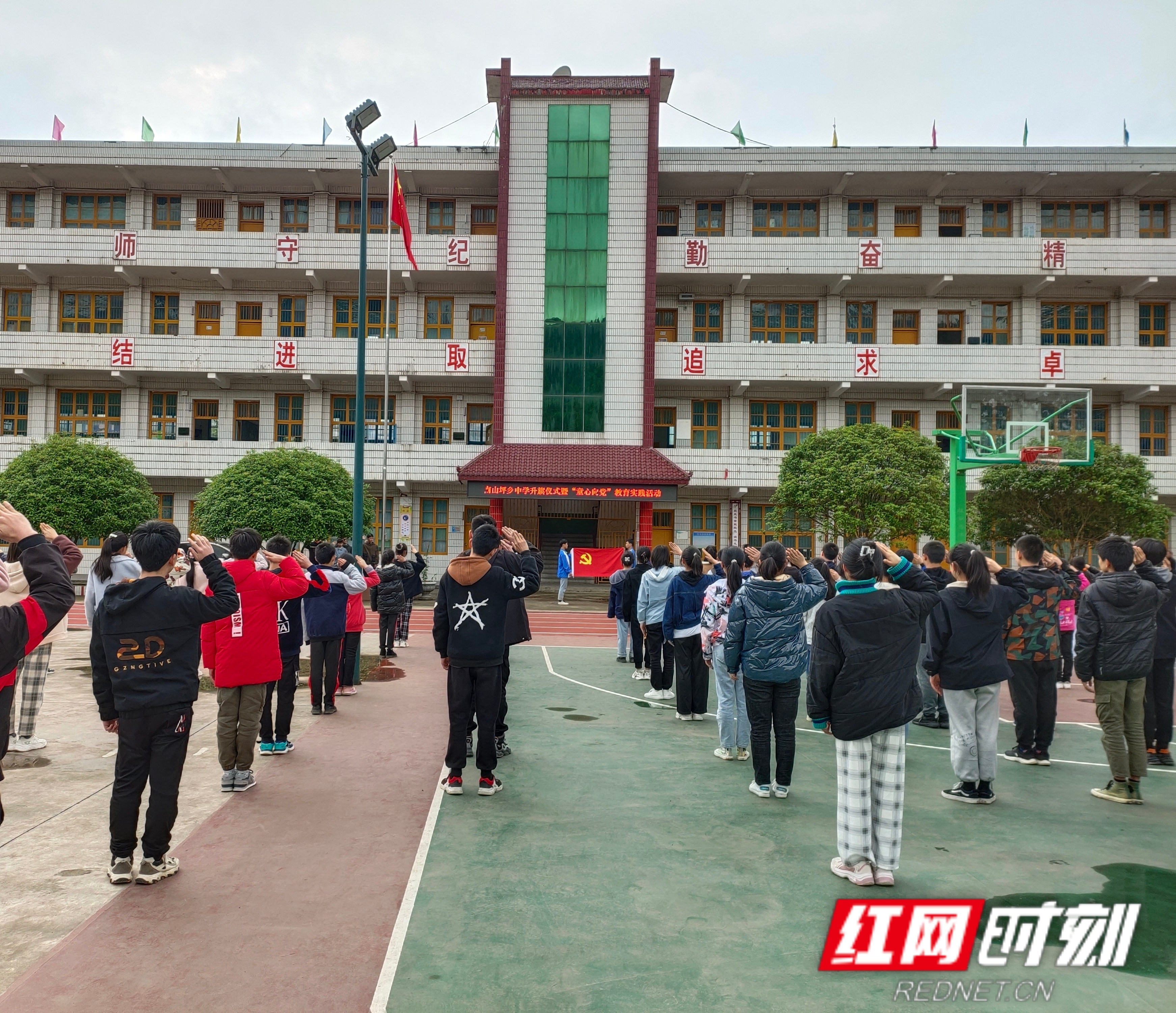 红网2.jpg