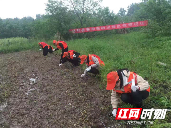 查螺 (2).jpg 查螺 (2).jpg