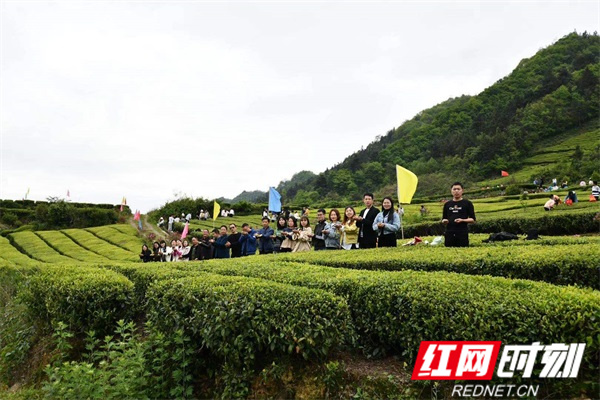 微信图片_20210419214040.jpg 微信图片_20210419214040.jpg