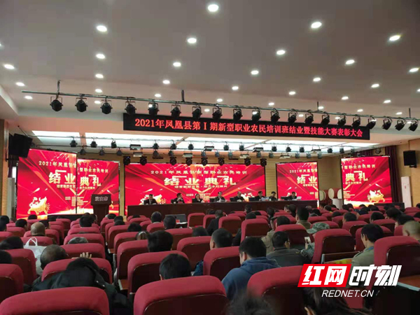 图片12.jpg