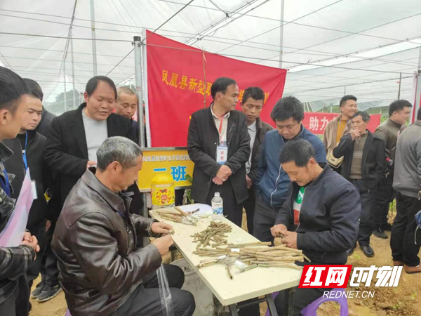 图片15.jpg