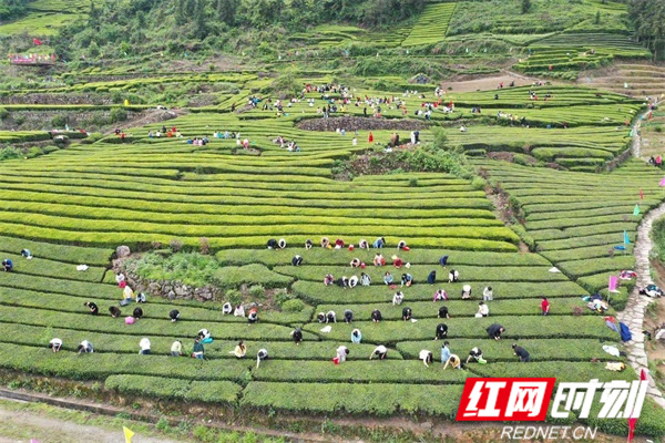 微信图片_20210419214058.jpg 微信图片_20210419214058.jpg