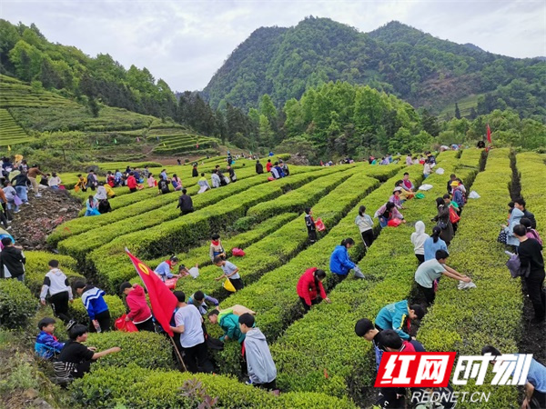 微信图片_20210419183728.jpg 微信图片_20210419183728.jpg