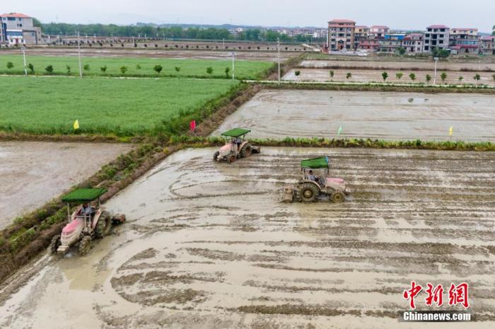 资料图:各类农机设备正在稻田里进行机械化作业。 刘力鑫 摄 资料图:各类农机设备正在稻田里进行机械化作业。 刘力鑫 摄