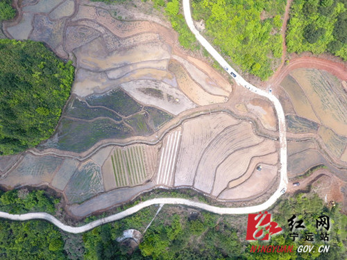 宁远：兄弟齐种粮 机械来帮忙3_副本500.jpg