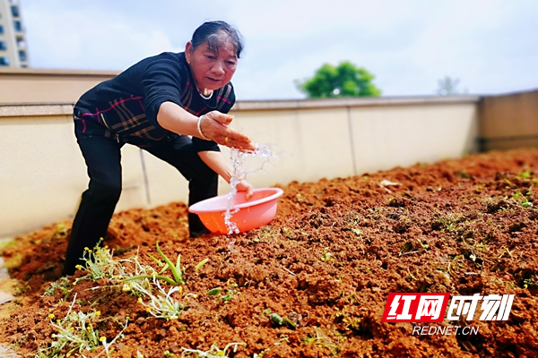 居民自主认领的“益合睦邻花园”将为社区居民提供一个由群花构成的艳丽“二维码”_副本.jpg