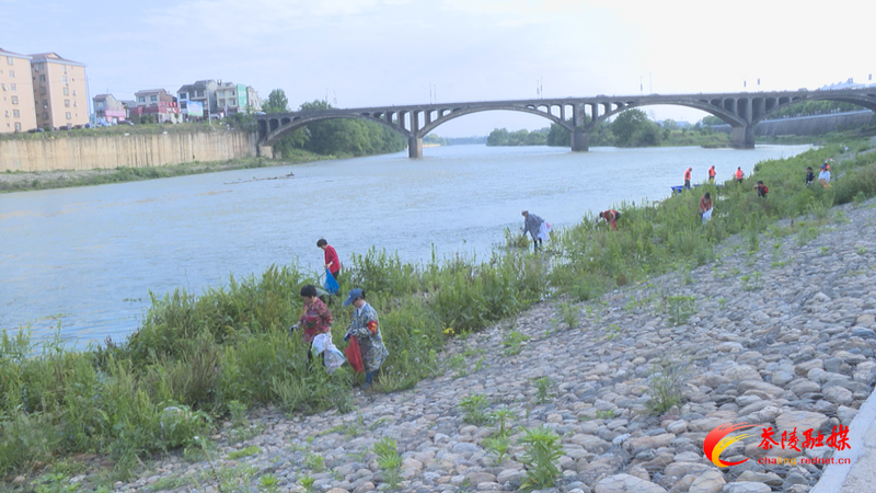 我县沿河乡镇积极打捞河内漂浮垃圾_副本.bmp