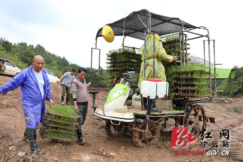 宁远：兄弟齐种粮 机械来帮忙2_副本500.jpg