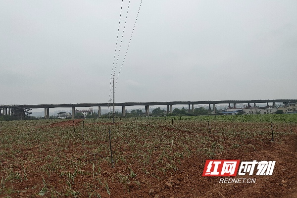 a4fbf9d1-55b5-44d1-940a-84d324ee38c7.jpg a4fbf9d1-55b5-44d1-940a-84d324ee38c7.jpg