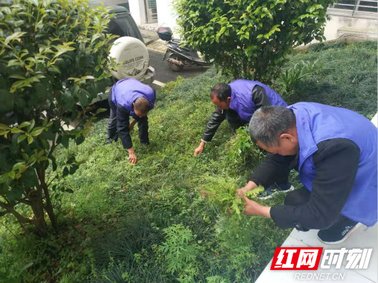 微信图片_202104231233442_meitu_3.jpg 微信图片_202104231233442_meitu_3.jpg