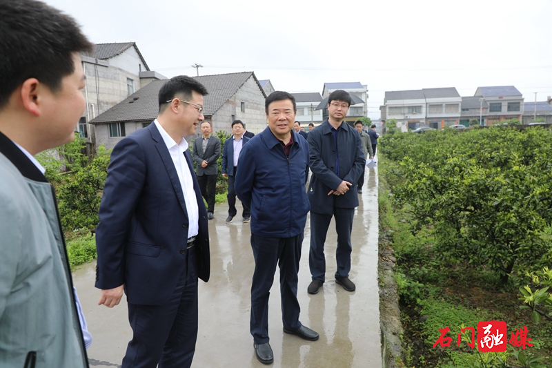 皂市.jpg