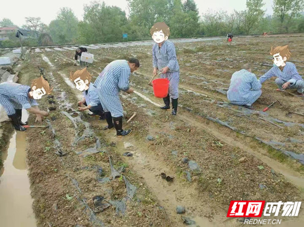 微信图片_20210425104740_副本.jpg