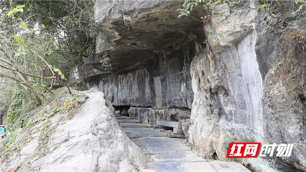 b0ec9f168d5bb0f5800ee5397a4f62cb8f073bda1619342612233.jpg b0ec9f168d5bb0f5800ee5397a4f62cb8f073bda1619342612233.jpg