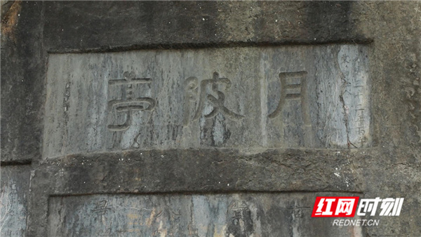 8ec496960326b84ba4e3742548028a19a56d1b381619342612085.jpg 8ec496960326b84ba4e3742548028a19a56d1b381619342612085.jpg