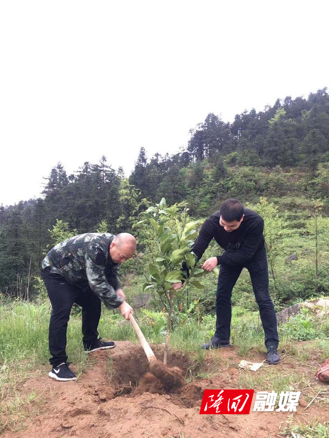 000000.jpg 000000.jpg