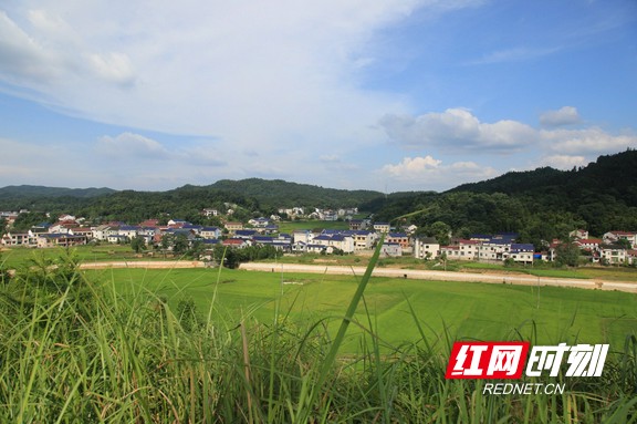 未标题-1.marked.jpg
