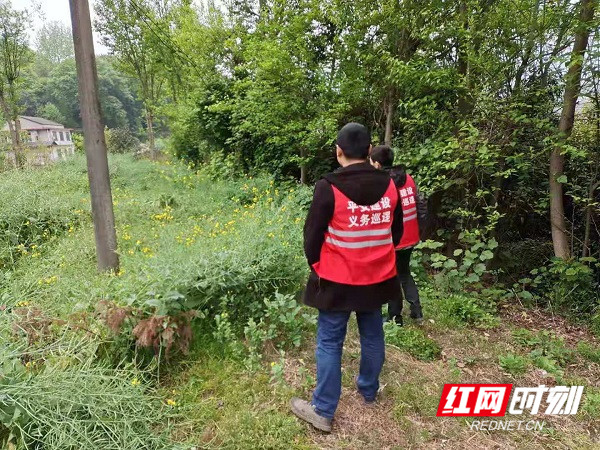 红网照片.jpg 红网照片.jpg