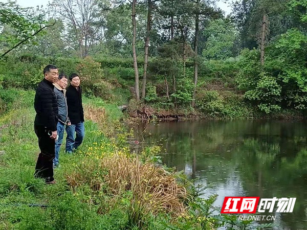 红网照片1.jpg 红网照片1.jpg