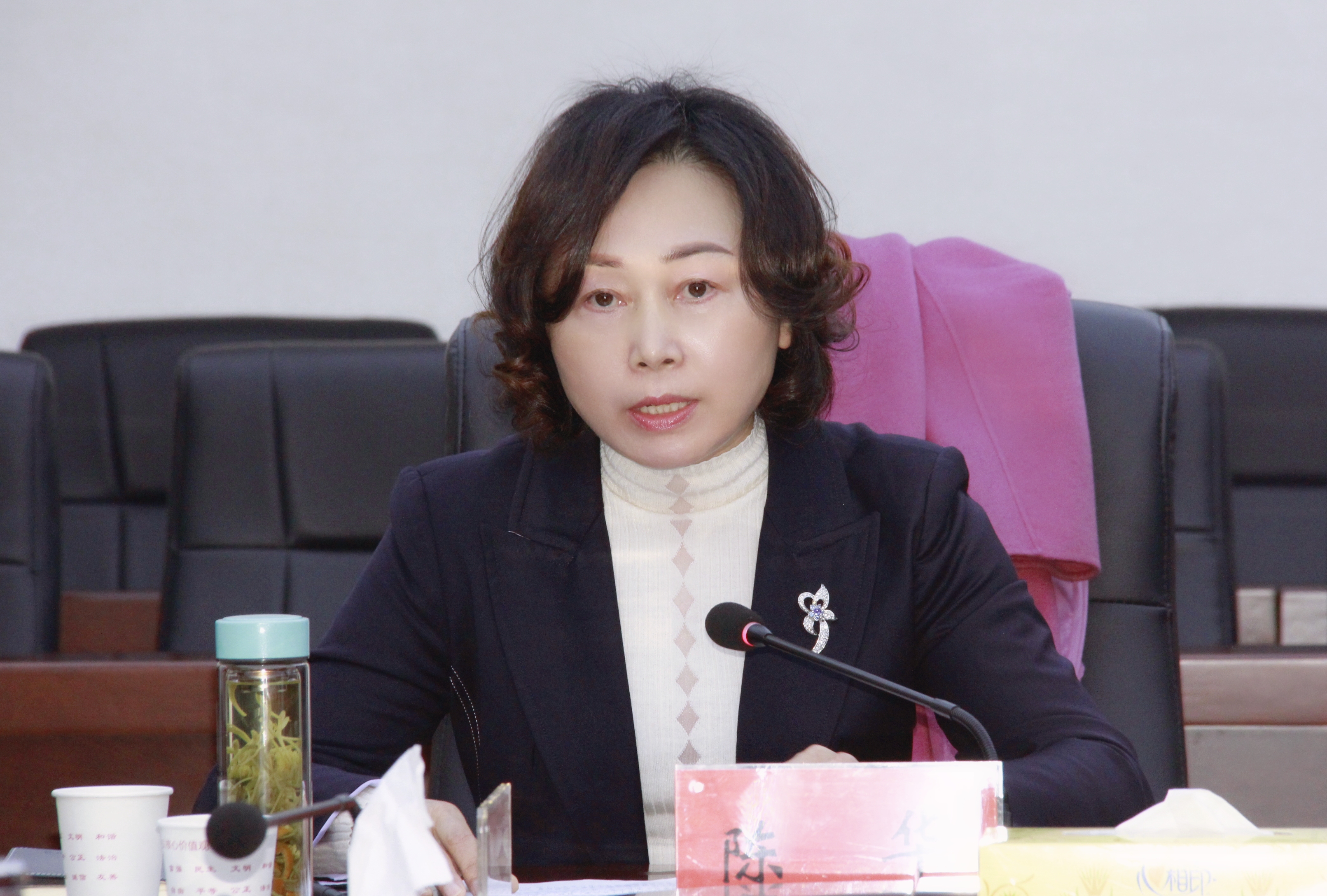民建市委副主委、常德电视广播大学校长陈华.jpg