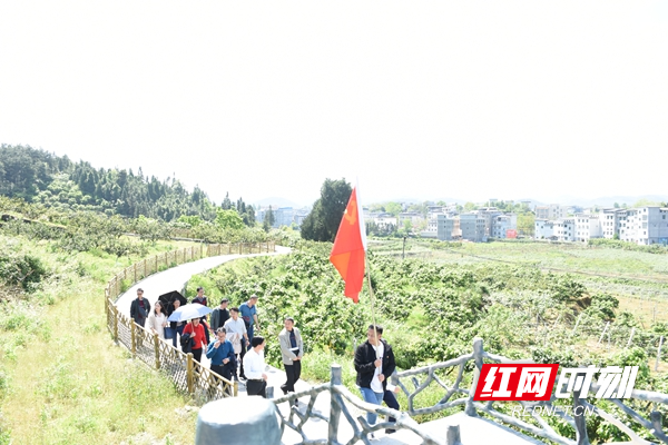 图片3.jpg 图片3.jpg